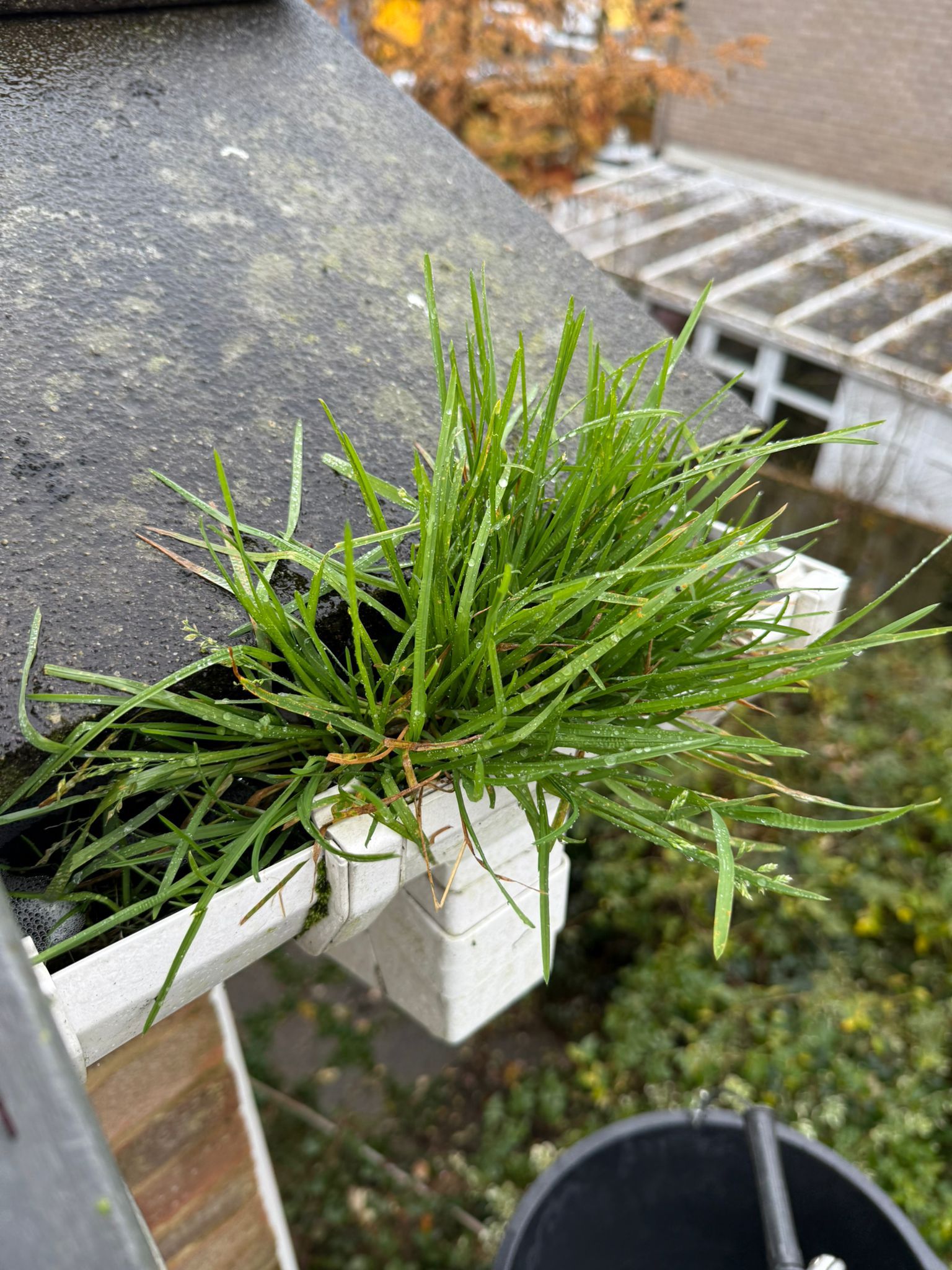 Blocked gutter downpipe in Aylesbury